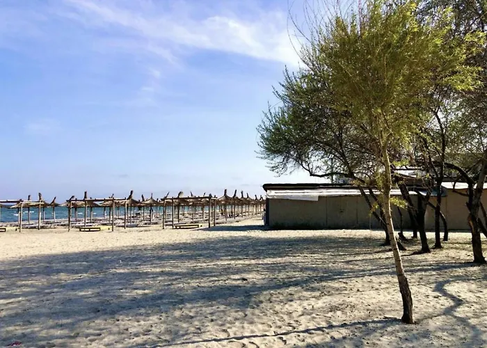 Casa Servus Junior 招待所