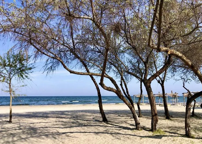 Casa Servus Junior 招待所 3*