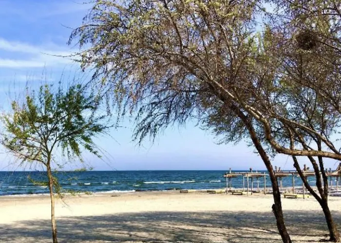 招待所 Casa Servus Junior 3*