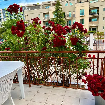 Casa Servus Junior Casa de hóspedes Năvodari