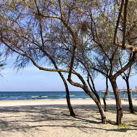 Casa Servus Junior Casa de hóspedes 3*